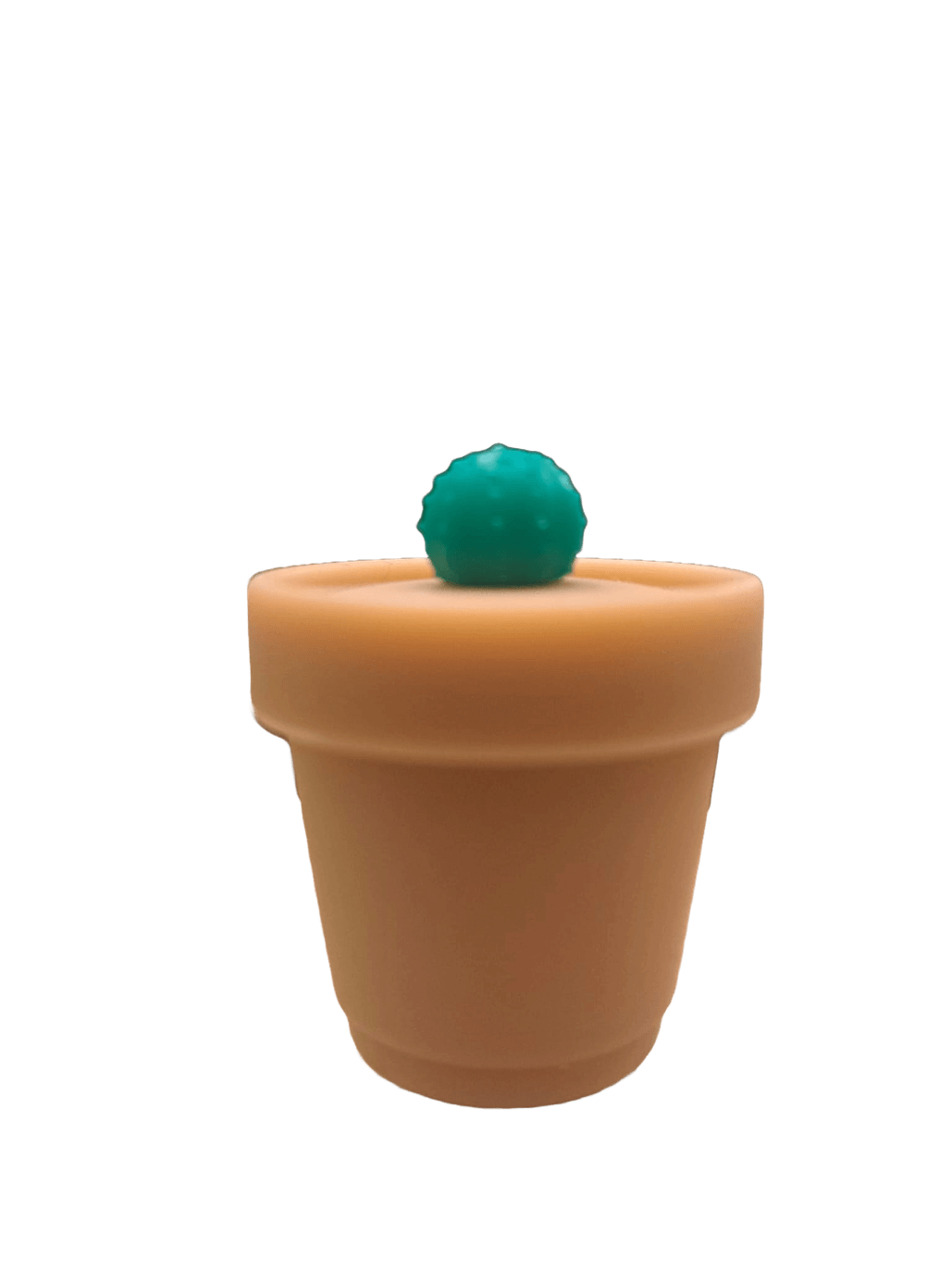 CONTENITORE VASO CACTUS IN SILICONE