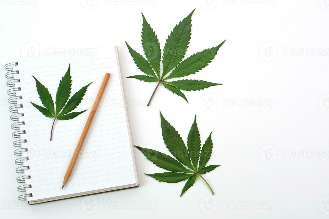 I 5 migliori libri sulla cannabis da non perdere