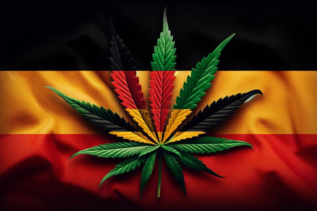 La Germania dà il via alla legalizzazione della cannabis, ecco le regole sul consumo e la vendita