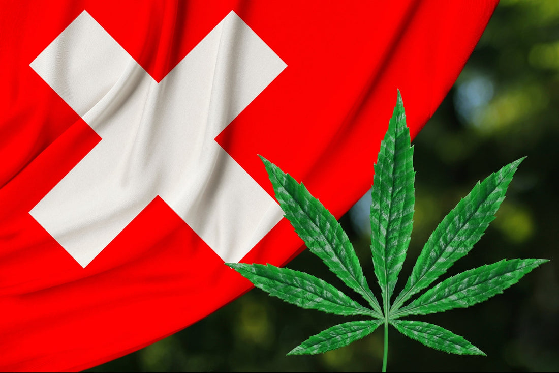 La Svizzera avvia i test per la legalizzazione della cannabis: dove e come partecipare