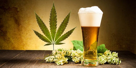 Come fare la birra alla cannabis: la ricetta, i benefici e le tipologie in vendita