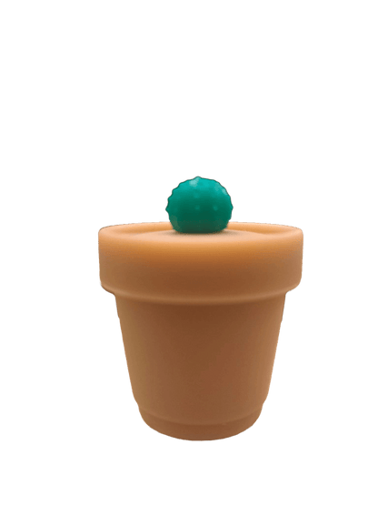 CONTENITORE VASO CACTUS IN SILICONE