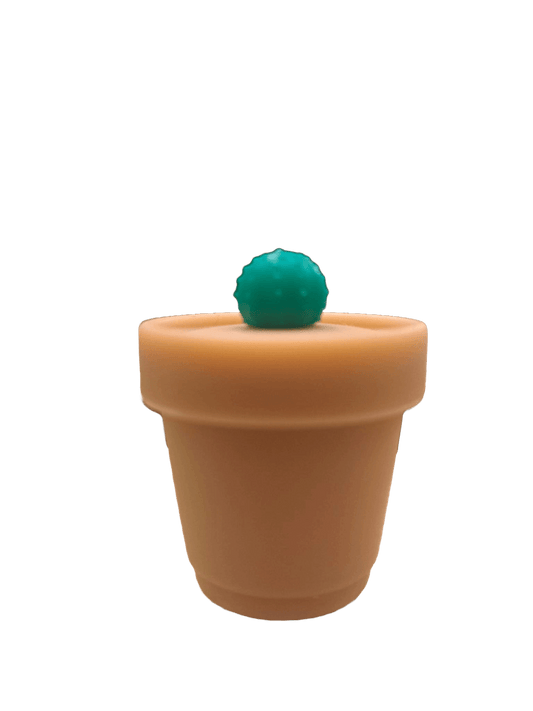 CONTENITORE VASO CACTUS IN SILICONE