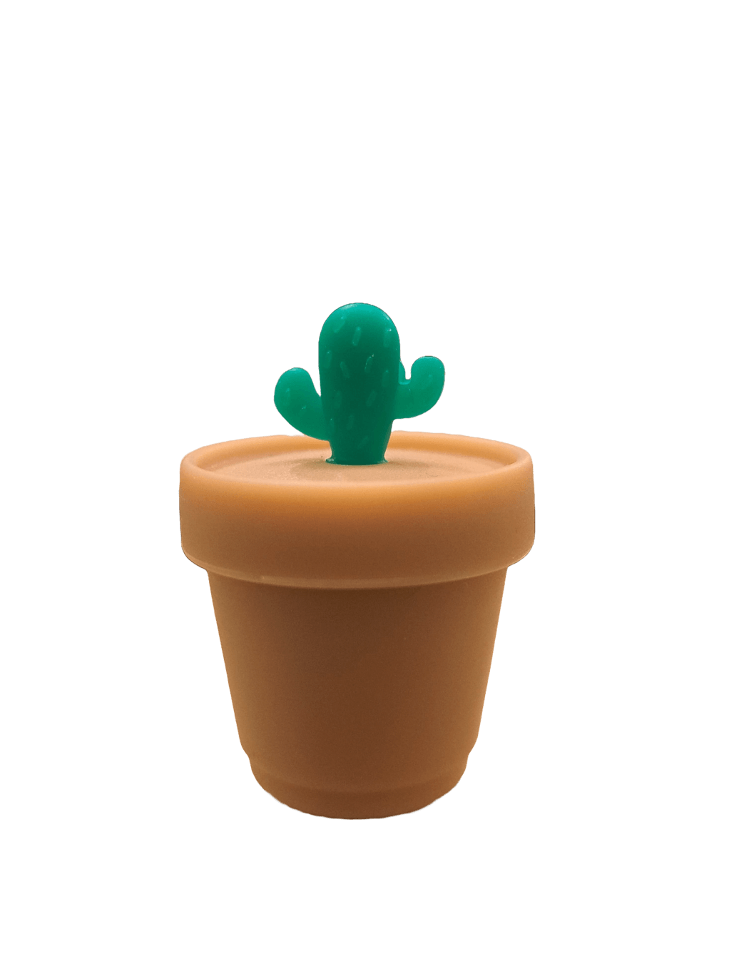 CONTENITORE VASO CACTUS IN SILICONE