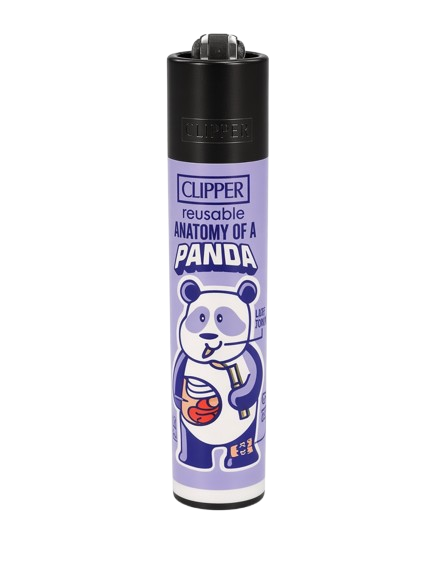 CLIPPER "ANATOMY OF"
