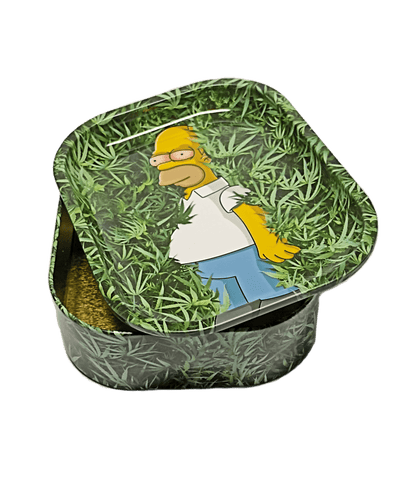 MISTIERA PICCOLA HOMER SIMPSON CON BOX