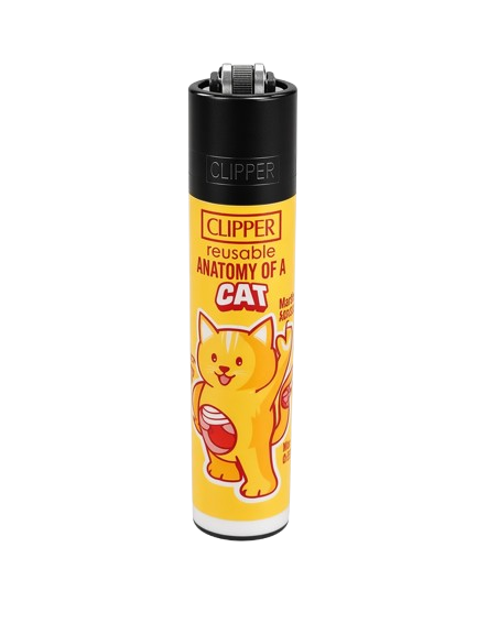 CLIPPER "ANATOMY OF"