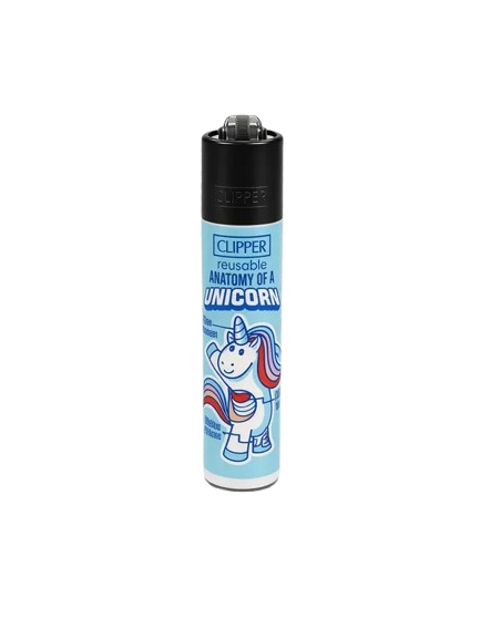 CLIPPER "ANATOMY OF"