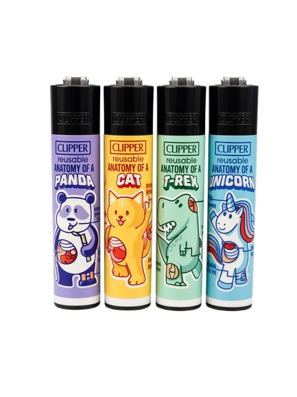CLIPPER "ANATOMY OF"