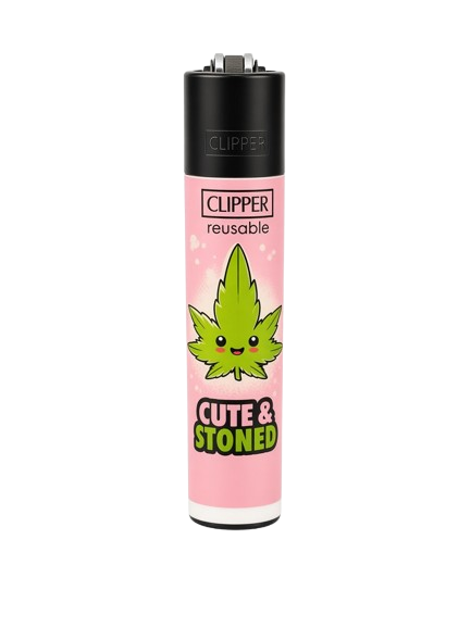 CLIPPER 420 MIX 5